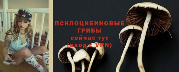 сатива Бронницы