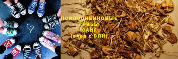 спиды Осинники