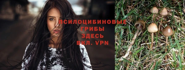 марихуана Бородино