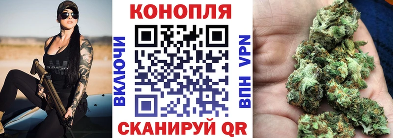 Марихуана OG Kush Медногорск
